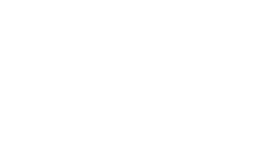 Leelasteel Logo